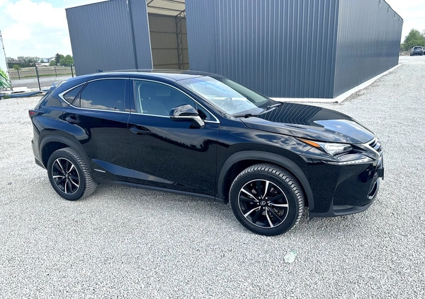 Lexus NX cena 89999 przebieg: 159000, rok produkcji 2014 z Niemodlin małe 106